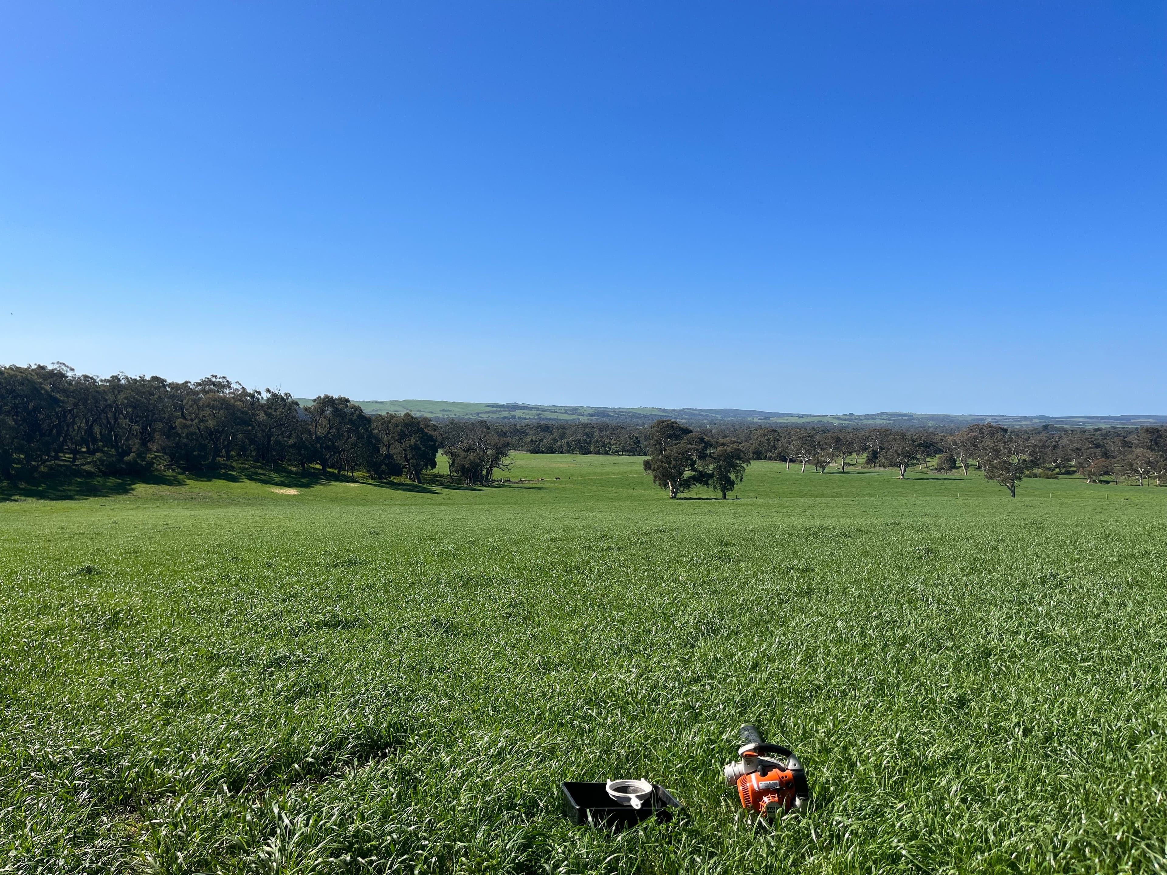Case study: Resistant Redlegged earth mite in pastures